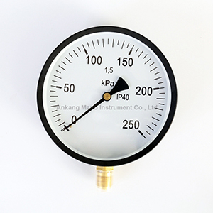 PG-013 Bourdon tube pressure gauge big diameter