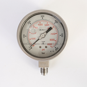PG-031 Stainless steel pressure gauge