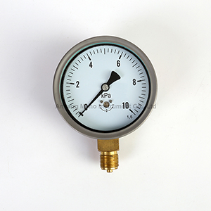 PG-043 Capsule element pressure gauge 100mm SS case
