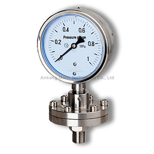PG-071L Diaphragm seal pressure gauge