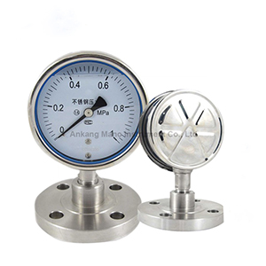 PG-073 diaphragm pressure gauge