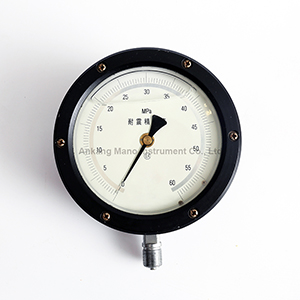 PG-083 Precision pressure gauges oil filled type